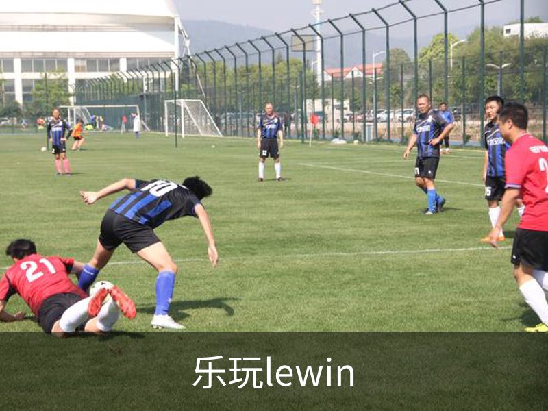 乐玩lewin简介